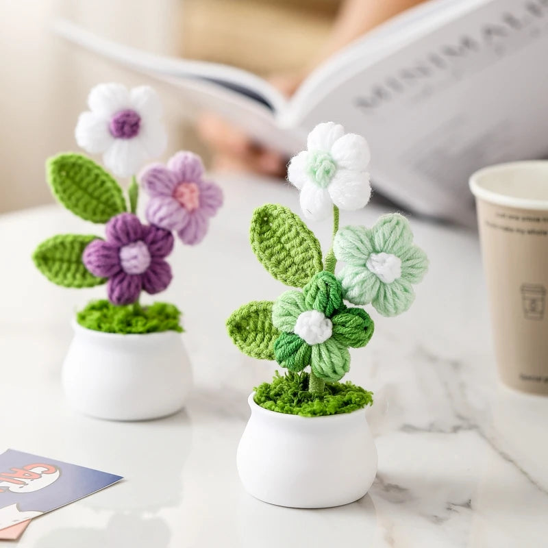 Crochet Flower Pots