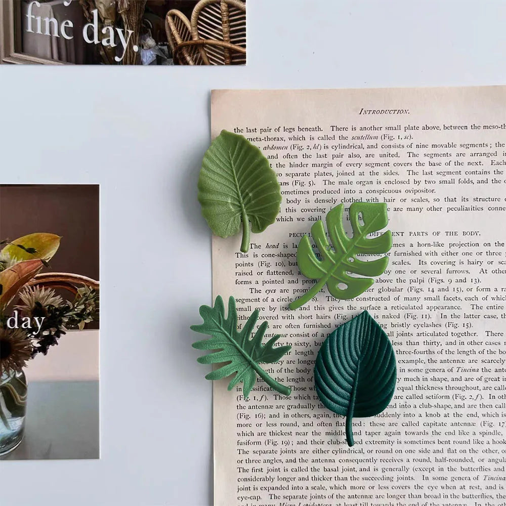 4 Piece Fridge Magnet Set