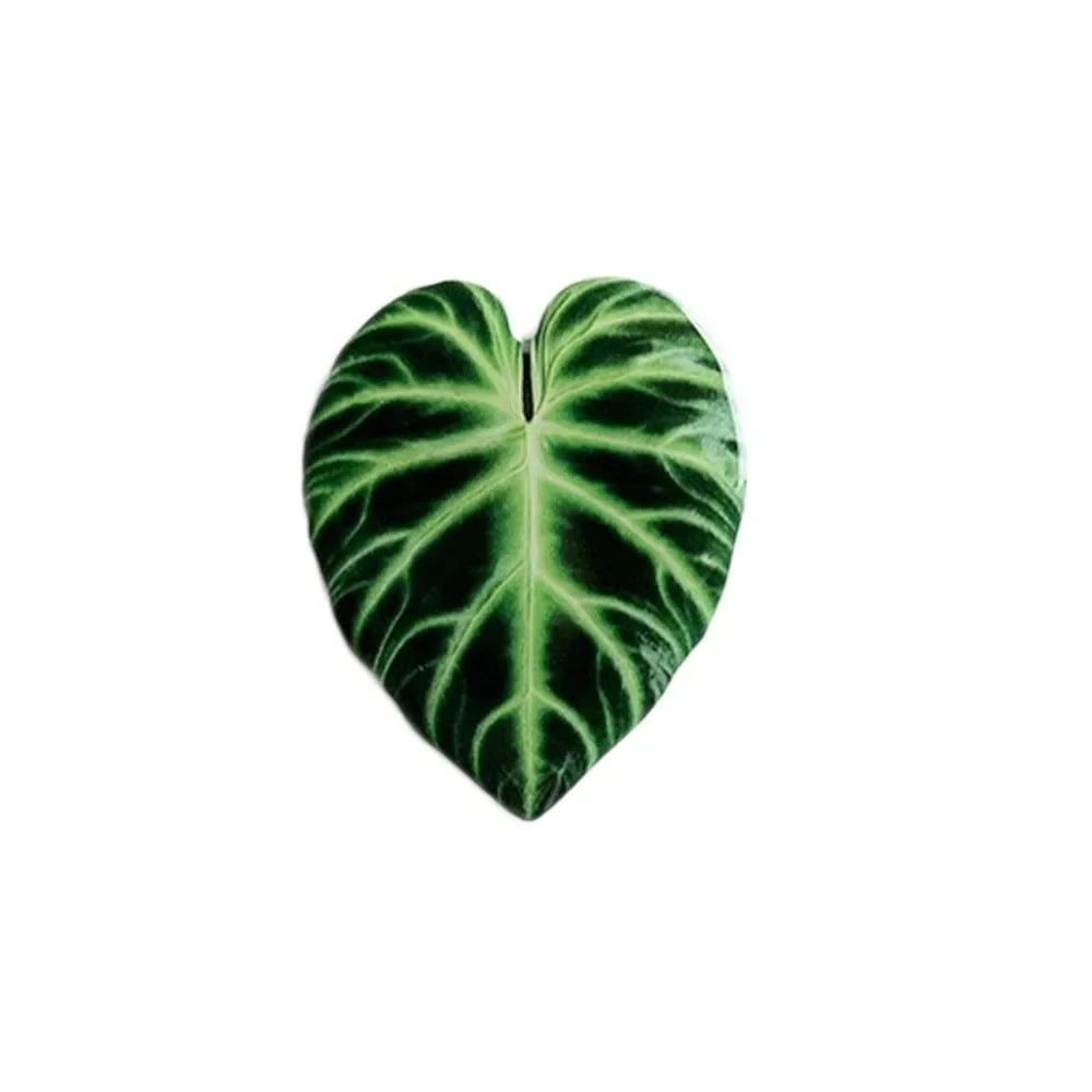 Leaf Fridge Magnets