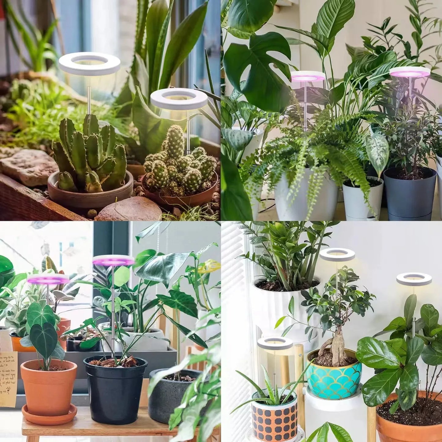LED Grow Light With Base