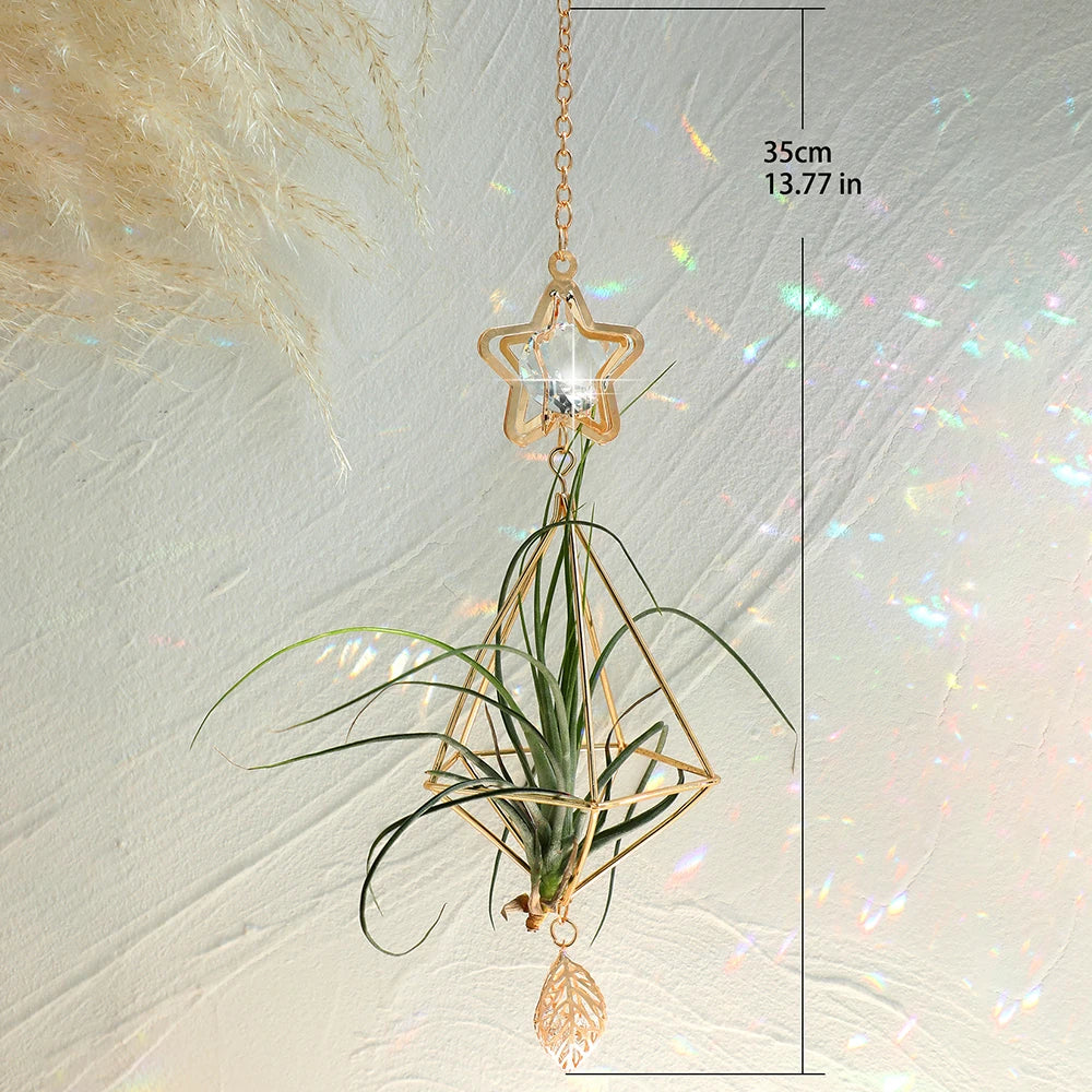 Airplant Suncatcher