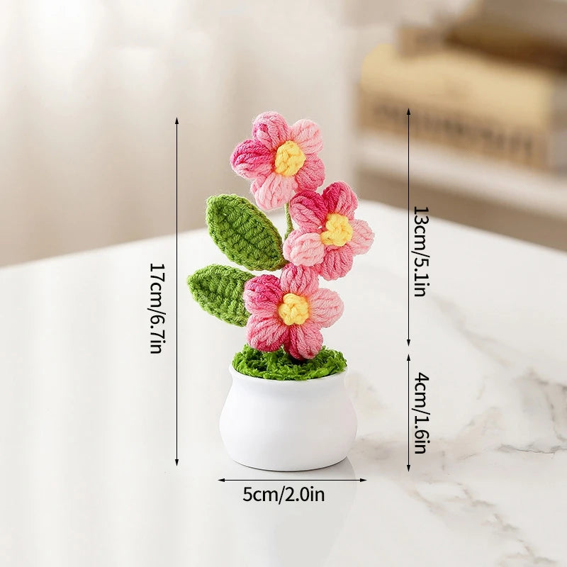 Crochet Flower Pots
