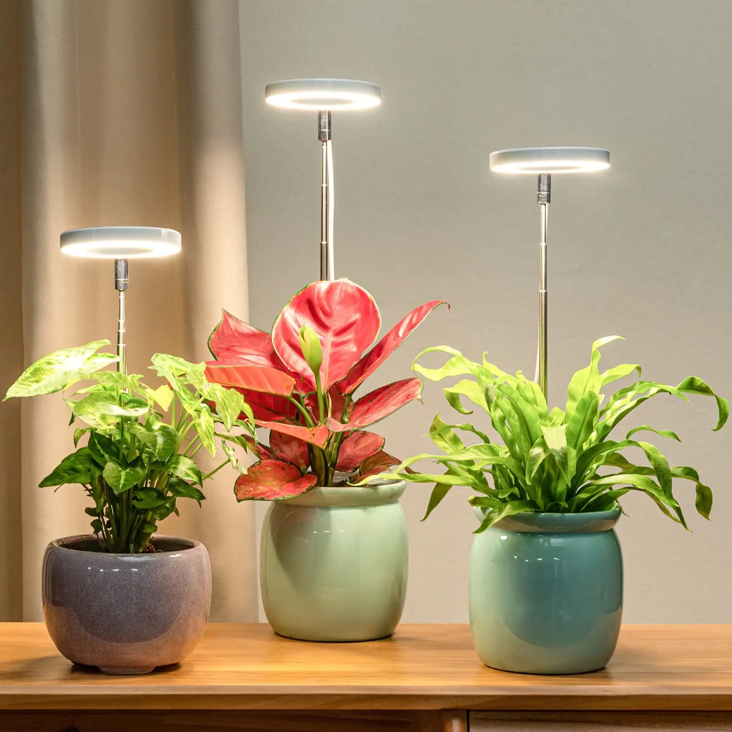 LED Grow Light With Base