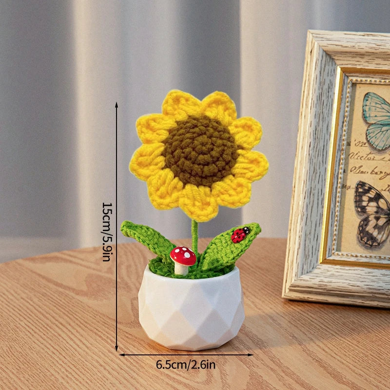 Crochet Flower Pots