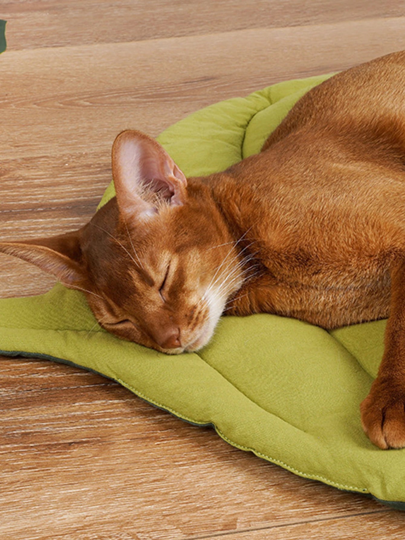 Leaf Cat Mat