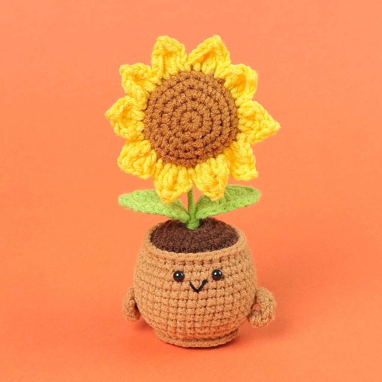 Emotional Support Plants