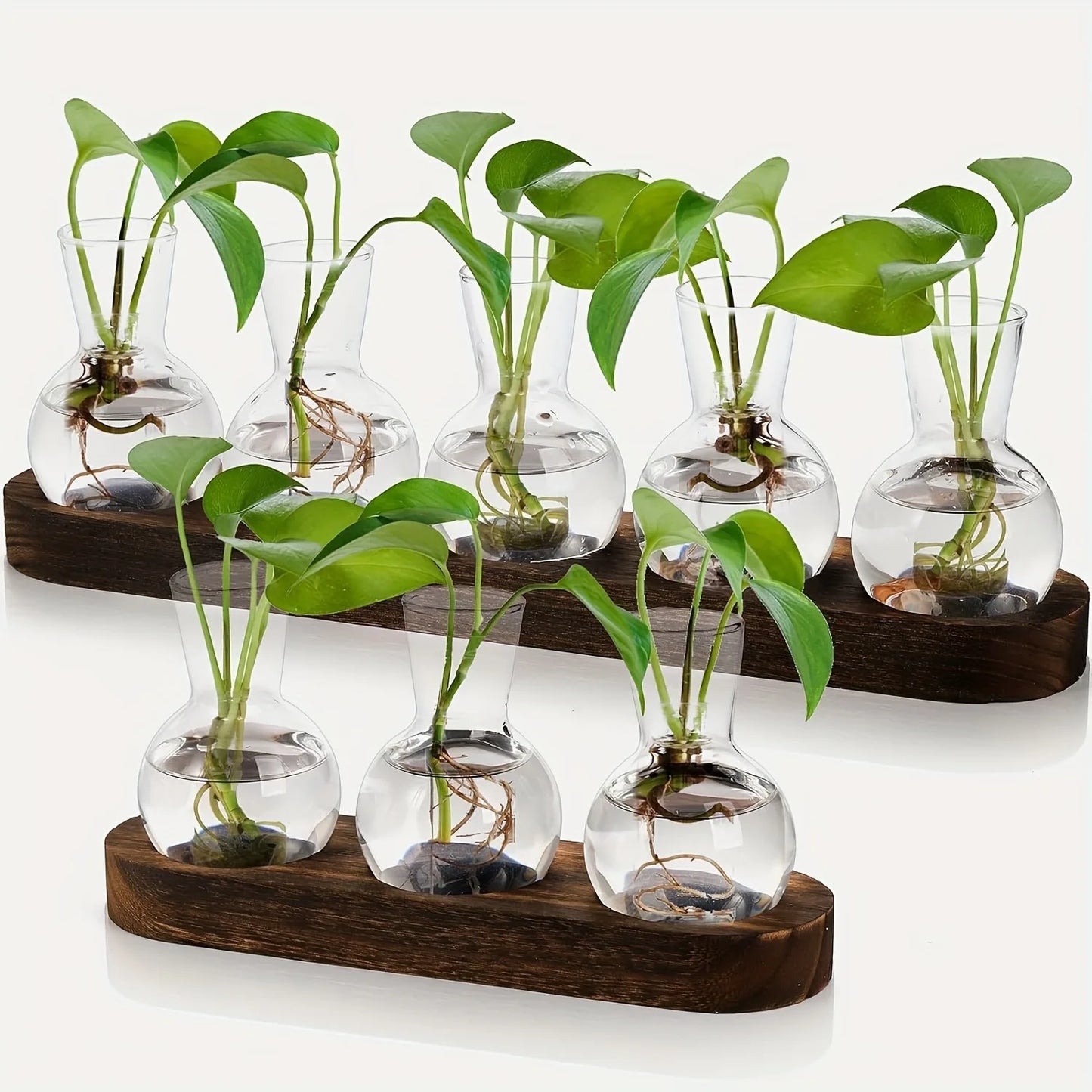 Tabletop Propagation Station