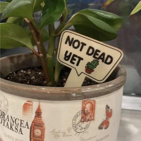 Funny Plant Markers (15 Pack)