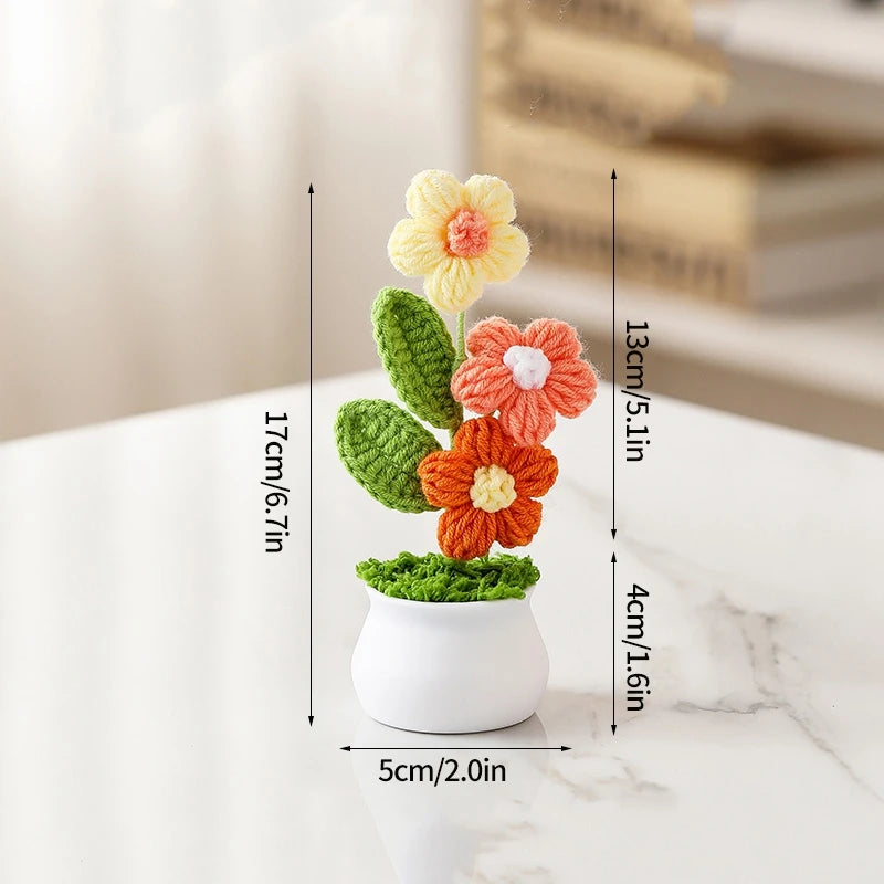 Crochet Flower Pots