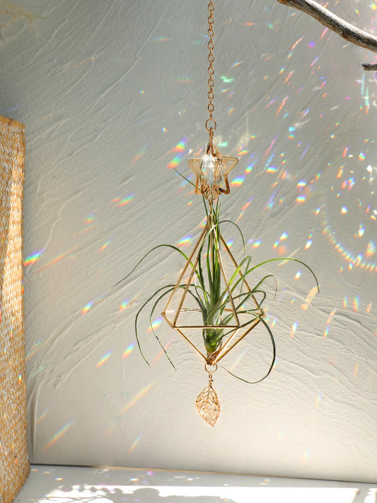 Airplant Suncatcher