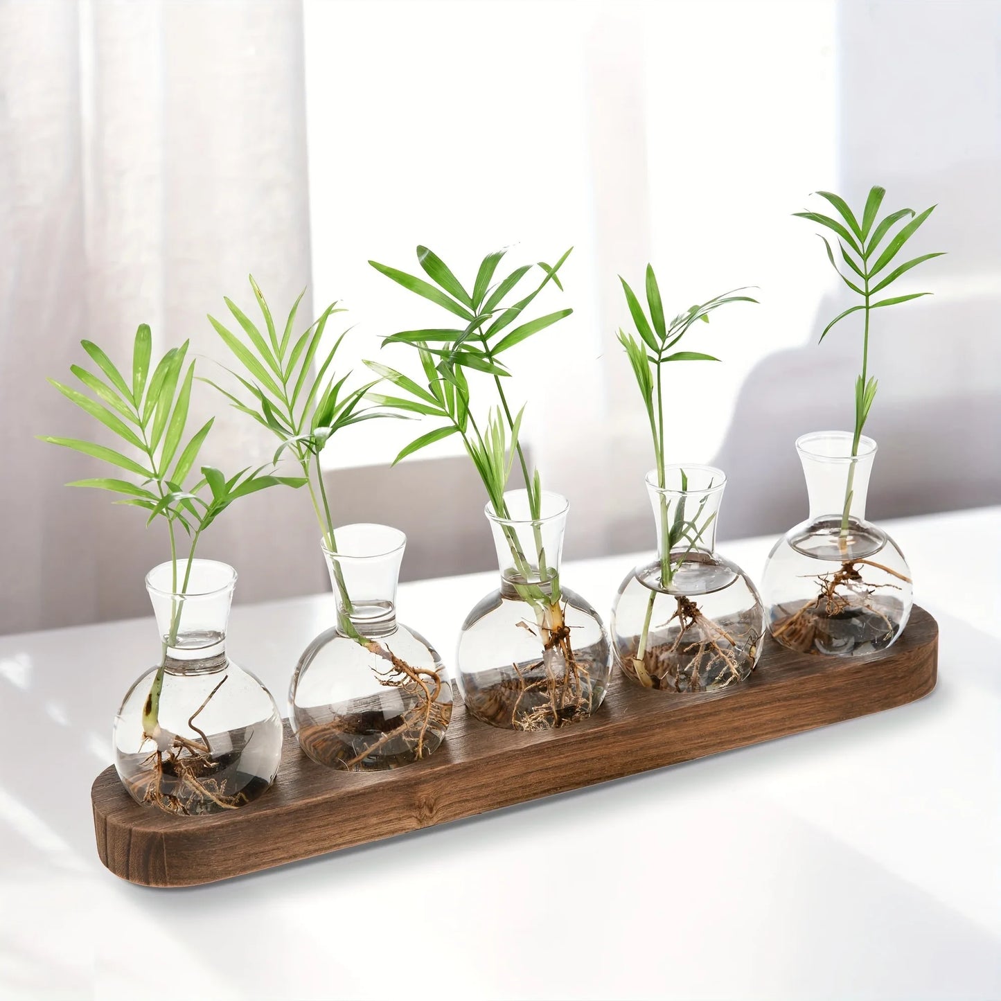 Tabletop Propagation Station
