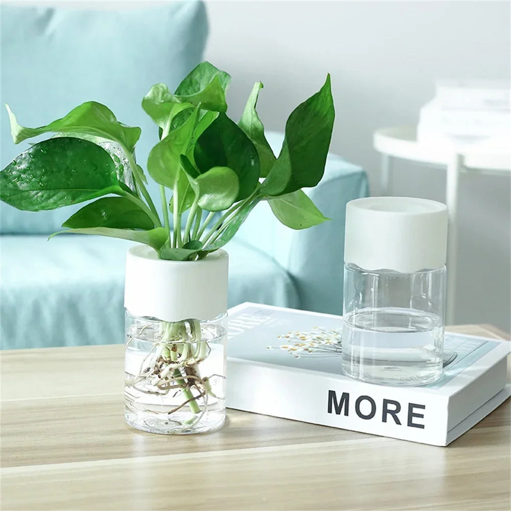 Mini Hydroponic Pot