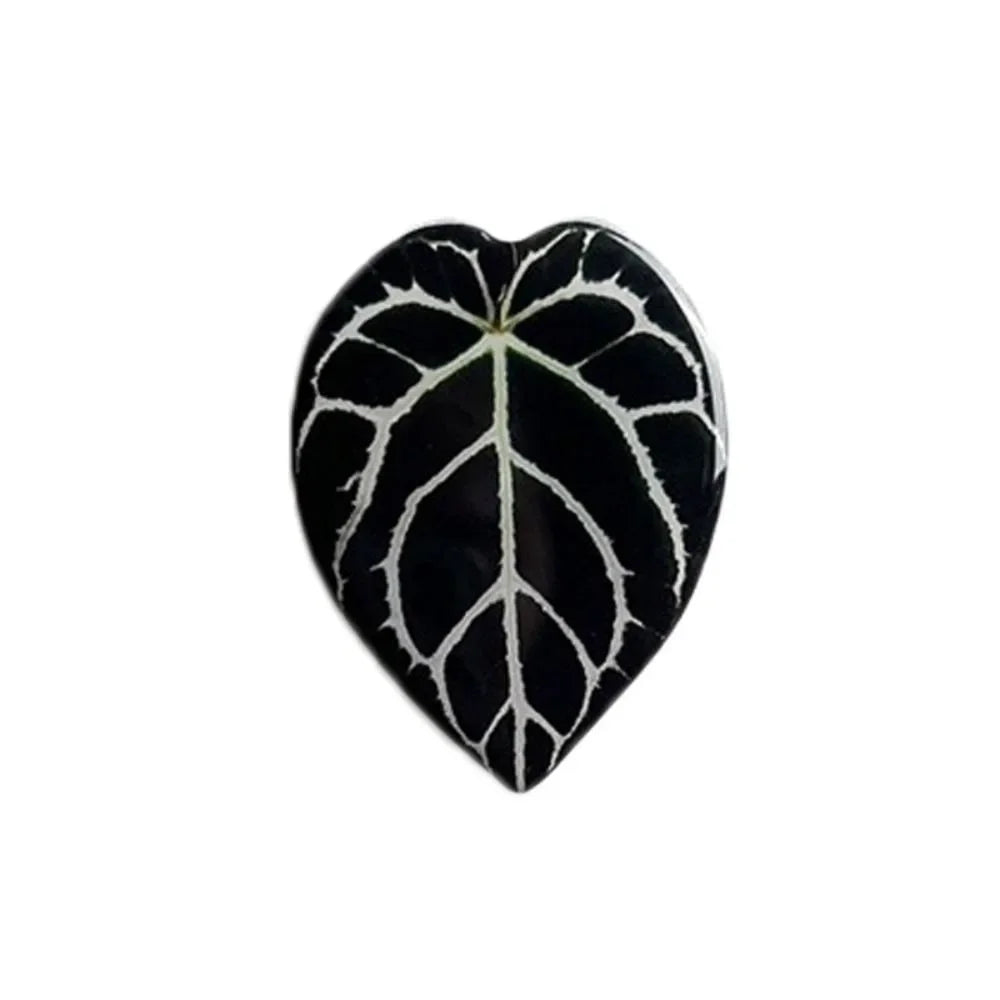 Leaf Fridge Magnets
