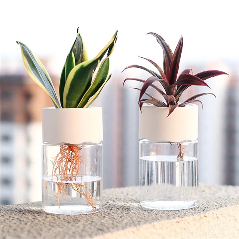 Mini Hydroponic Pot