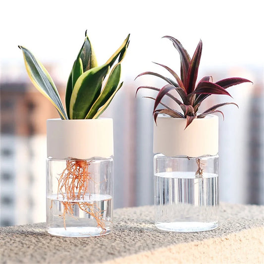 Mini Hydroponic Pot