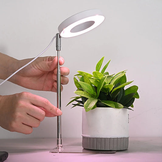 LED Grow Light With Base