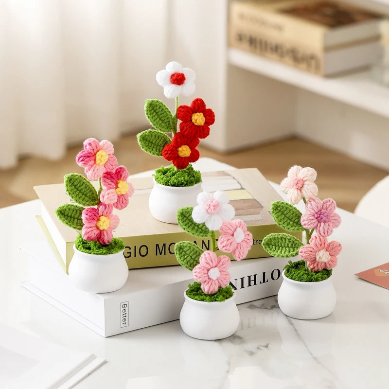 Crochet Flower Pots