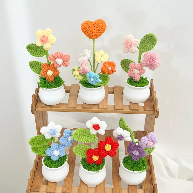 Crochet Flower Pots