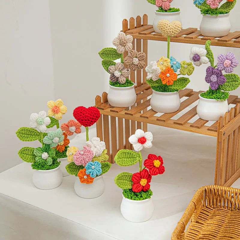 Crochet Flower Pots