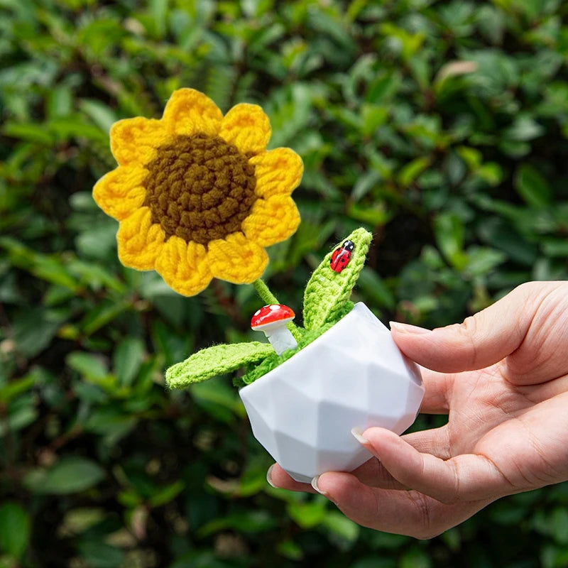 Crochet Flower Pots