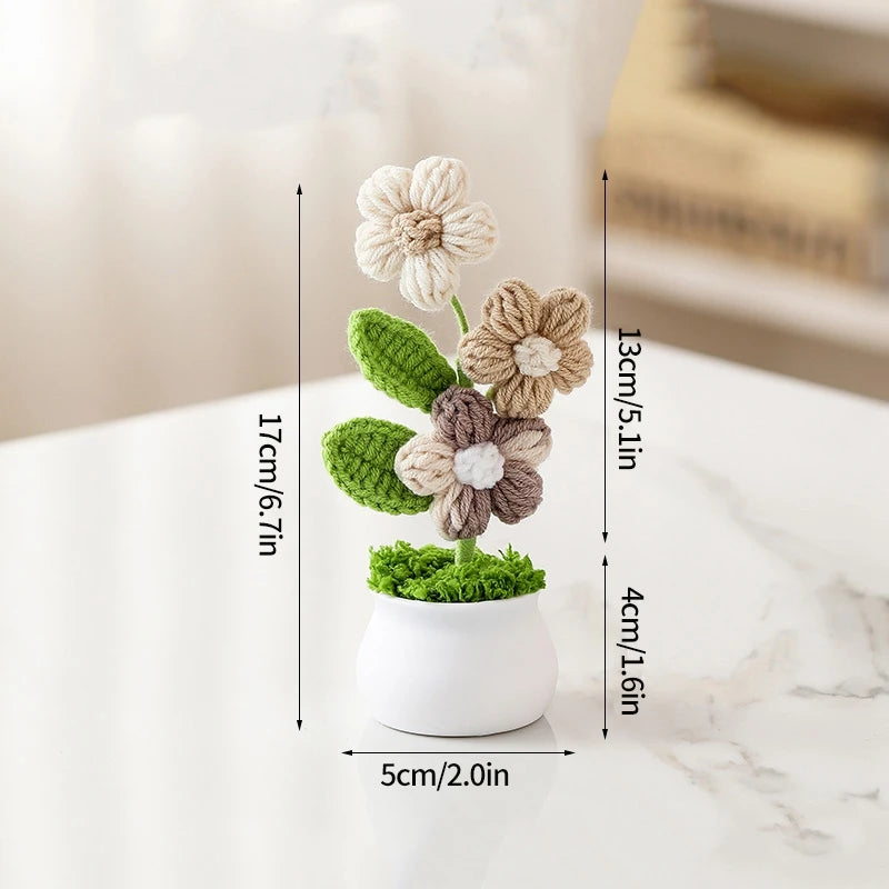 Crochet Flower Pots