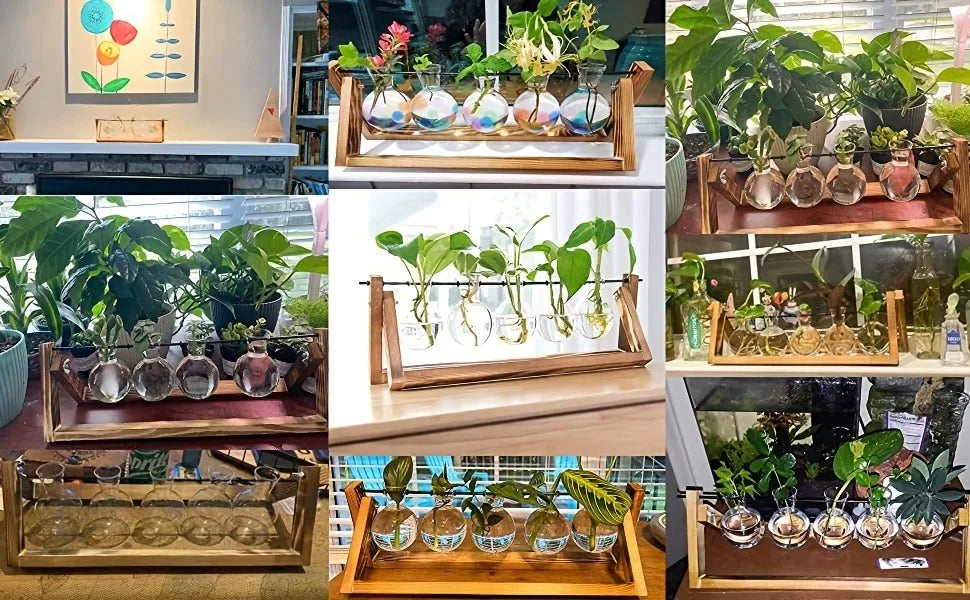 Swinging Propagation Station
