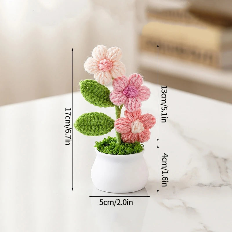 Crochet Flower Pots