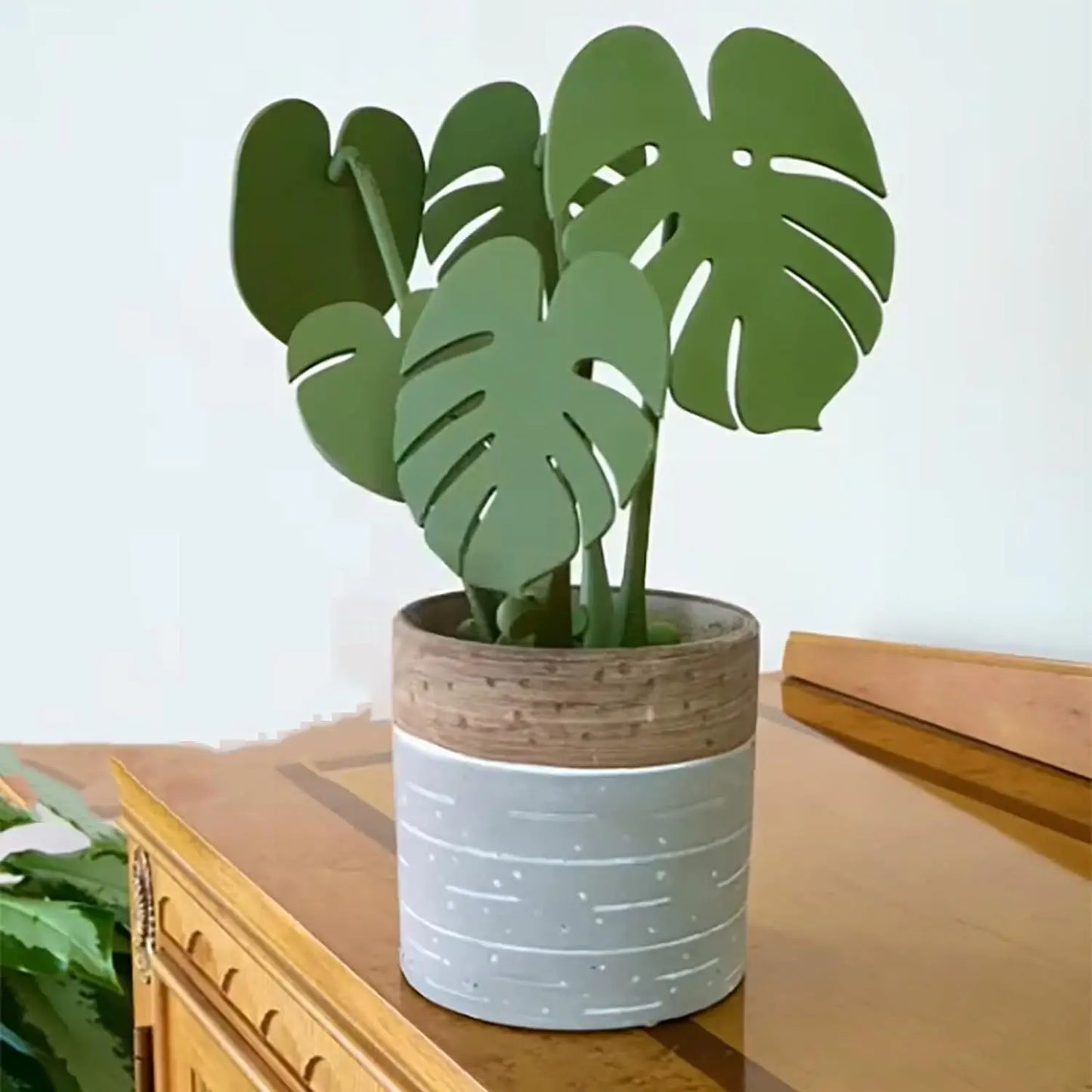 Monstera Leaf Coasters