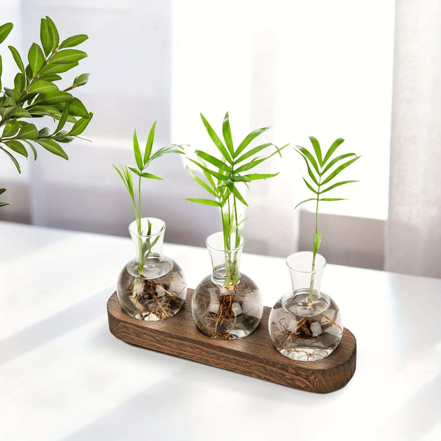 Tabletop Propagation Station