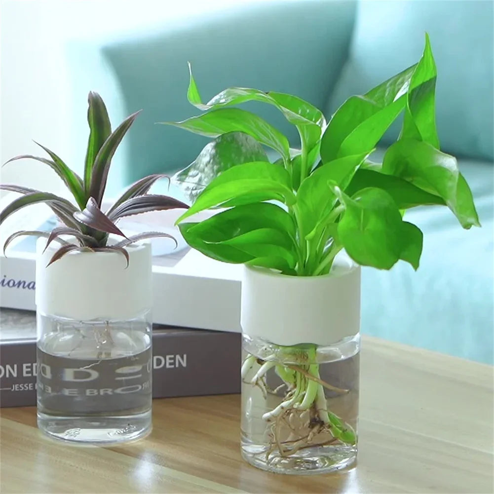 Mini Hydroponic Pot